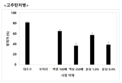 고추 열매 탄저병에 대한 B. velezensis GH1-13 미생물 액상, 분말 제형별 방제가 결과. (A) 농약 대조구, (B) 무처리구, (C) 액상 100배, (D) 액상 250배, (E) 분말 1%, (F) 분말 0.4%