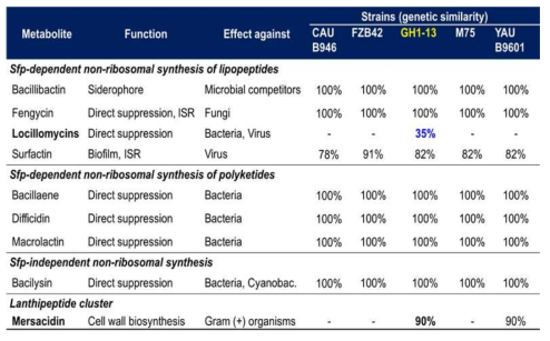 복합기능 세균 GH1-13균주의 이차대사산물과 타 균주와의 비교