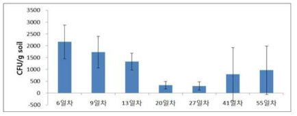 고추유묘 관주처리에 의한 근권내 복합기능 세균 수