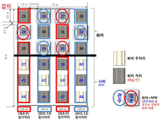 시비처리별 시험포장 배치도