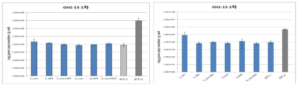 감자 근권내 GH1-13 균주의 정량 분석