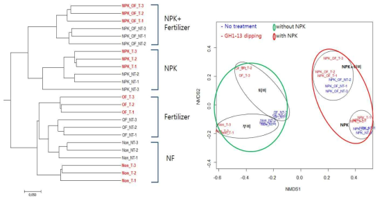 고추근권세균 군집의 분포 비교, Tree analysis(좌), NMDS(우)