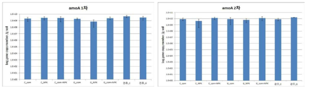 감자근권 토양의 시기별 amoA 유전자의 정량분석