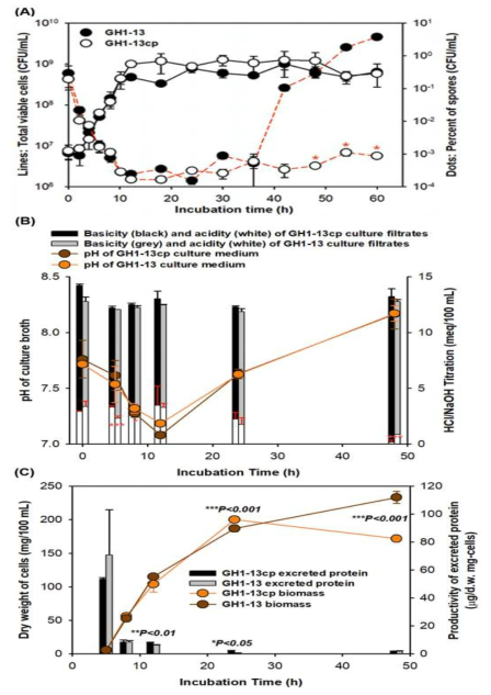 (A) 야생균주 GH1-13과 플라스미드를 제거한 변이체 GH1-13cp의 성장곡선과 아포자 생성율(%). 48시간과 60시간 사이에 포자생성율의 유의미한 차이들을 양측검정 t-테스트로 결정하였다. *,P <0.05. (B) 배양액의 pH 변화와 적정가능한 산성도(아래 백색 막대그래프)와 염기도(위쪽 회색 또는 검정색 막대그래프)의 변화. 5, 8, 48시간에 별표로 표시한 산성도의 차이를 양측검정 t-테스트로 결정하였다. *, P <0.05; and ***, P <0.001. (C) 원심 분리한 세포와 배양액에 분비된 단백질의 건조무게. 12, 24, 48 시간에 별표로 표시 한 산성도의 차이를 양측검정 t-테스트로 결정하였다. *, P <0.05; **, P <0.01; and ***, P <0.001