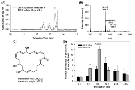 야생 균주 GH1-13과 플라스미드를 제거한 변이체 GH1-13cp가 합성한 macrolactin-H를 HPLC-UV/MS으로 검출 (A) 베이스라인을 보정한 macrolactin-H 피크 (I)의 검출시간(13.4 min)과 분자이온 m/ z 376.2. (B) 양이온 전자스프레이 이온화로 검출한 macrolactin-H (m/ z 376.2) 질량스펙트럼과 나트륨염과 칼륨염의 이온 질량값 m/ z 399.0와 414.8. (C) 평균 질량 376.5의 화학적 구조. (D) 다양한 성장 시기에 야생 균주 GH1-13과 변이체 GH1-13cp에서 합성된 macrolide-H의 수준 (% 피크면적). 두 균주들의 8시간 배양시기에 유미한 차이를 양측검정 t-테스트(P <0.05)로 결정하였다.