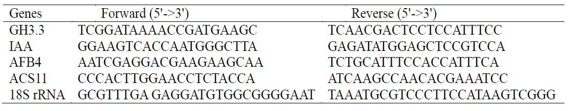 qPCR에 사용한 애기장대 유전자들의 프라이머들