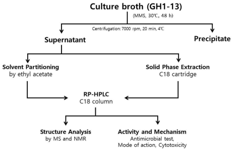 GH1-13 배양부터 유효활성물질의 정제과정의 전체 모식도