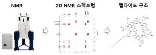 NMR을 이용한 분자의 구조분석