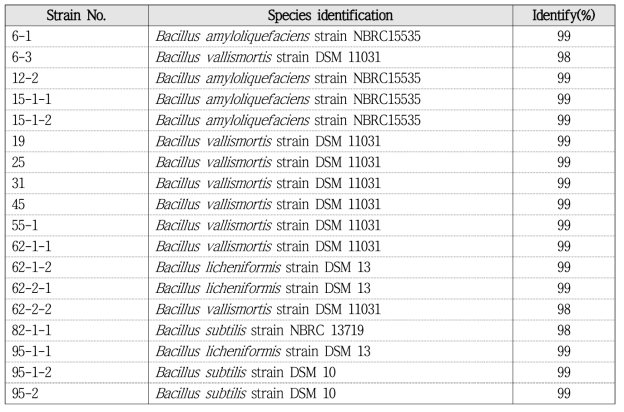 Species identification of the isolates by 16S rRNA sequencing analysis