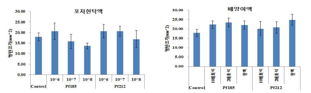 Pf185, Pf212 균주에 의한 고추탄저병 방제효과 (탄저병→4시간 후 선발 균주 처리)