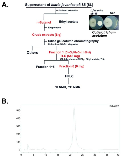 (A) Fractionation procedure for the purification of the antifungal compound from the culture filtrate of I. javanica pf185. (B) The spectrum detected at 210 nm from high performance liquid chromatography (HPLC) of the extract from TLC that had antifungal activity