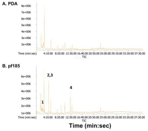 GC profile of volatiles produced by the fungus Isaria javanica pf185 grown on potato dextrose agar (PDA). The volatiles were absorbed onto a solid phase microextraction (SPME) and analyzed by gas chromatography-mass spectrophotometry (GC-MS). GC-MS profiles of volatiles from a non-inoculated PDA bottle (A) and from I. javanica pf185-inoculated PDA bottle. The peaks unique to the volatiles detected in the I. javanica pf185-inoculated PDA bottle are labeled 1-4. These GC-MS profiles are representative of two independent experiments
