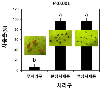 Peach aphid efficacy of commercial and liquid prototype of I. javanica pf185. The prototype was diluted 250 times with sterilized water (control) and sprayed on the peach aphids grown in Chinese cabbage. After 24 hours, the rate of live aphid was corrected by abbot method. The same experiment was repeated three times