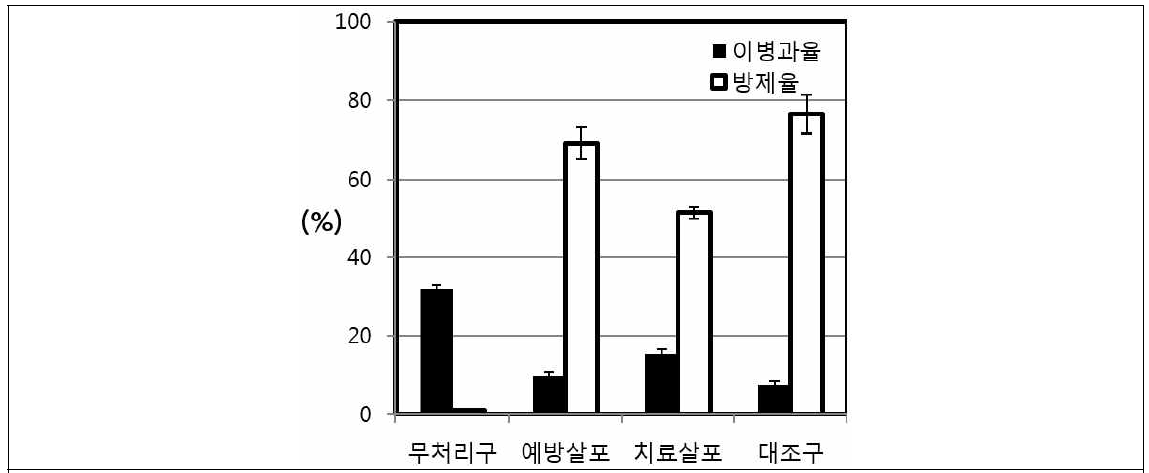 Isaria를 이용한 시제품의 병방제 효과