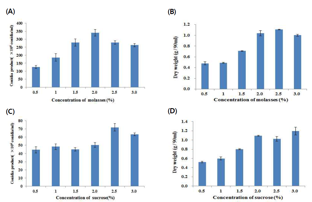 탄소원 농도별 곤충병원성 곰팡이의 blastospore 생산량(+1% Yeast extract) (A), (B) : molasses, (C), (D) : sucrose