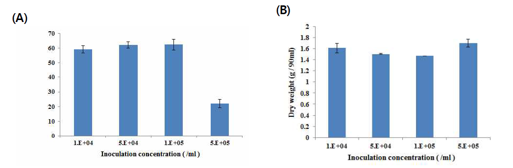 I . fumosorosea FG340 접종농도에 따른 곤충병원곰팡이의 blastospore 생산량(A) 및 건조중량(B)