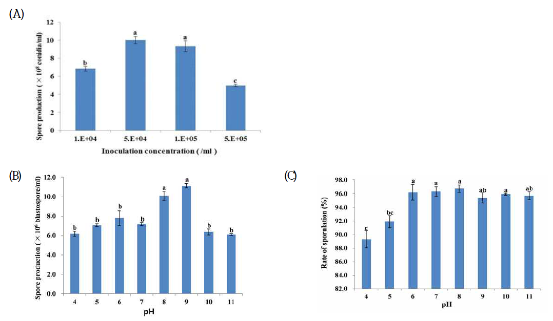 I. fumosorosea FG340의 blastospore 생산을 위한 최적 접종농도 및 pH (YD media) (A): 접종 농도별 blastospore 생산량, (B): pH에 따른 blastospore 생산량, (C): pH에 따른 포자형성율