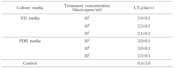 선발 배지 배양 blastospore의 파밤나방 3령 유충에 대한 반수치사 시간