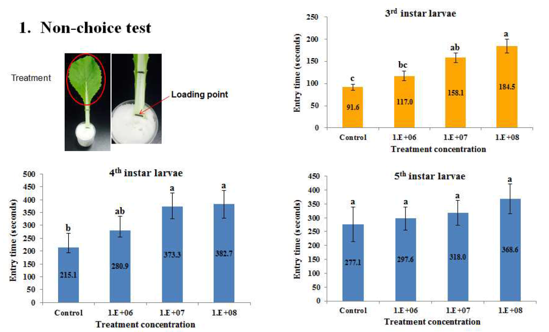 fumosorosea FG340 균주에 대한 파밤나방 유충의 생육단계별 기피효과(non-choice test)