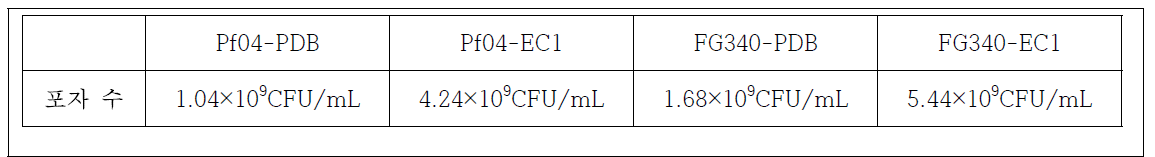 액체 배양체 포자 수 비교