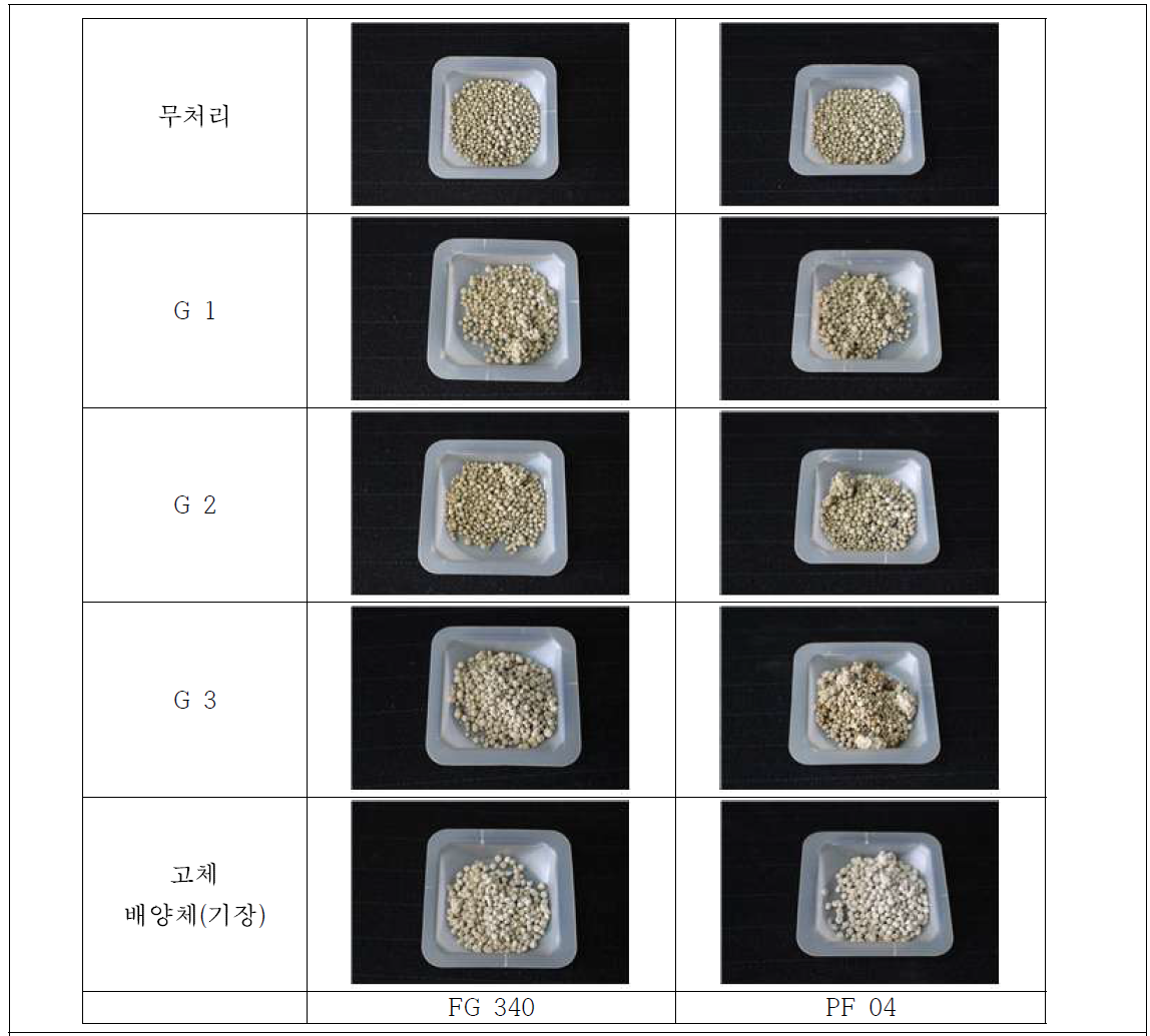 Granule 제형 모습