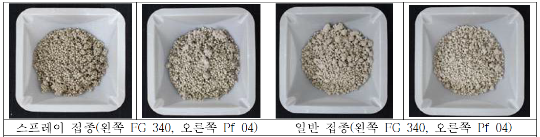 접종 방법에 따른 Granule type 고체 배양 및 제형