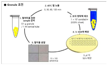 Granule 조건에서의 곡물별 포자의 열 안정성 평가 실험