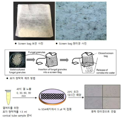 Screen bag 제형 장기보관 평가 방법