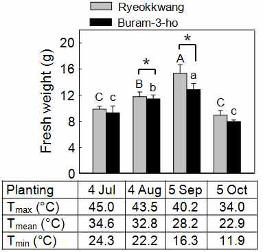 Different sensitivity of two Chinese cabbage seedlings (cvs. Ryeokkwang and Buram-3-ho) to high temperature. Plant growth of two kimchi cabbage seedlings grown for 5 weeks after planting at different dates (4 Jul, 4 Aug, 5 Sep and 5 Oct). Changes in average maximum (Tmax), average mean (Tmean) and average minimal (Tmin) temperatures (℃) for 5 weeks under greenhouse conditions were demonstrated