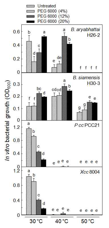 Bacterial tolerance to dehydration under different growing temperatures during in vitro liquid cultures. Two Bacillus strains (B. aryabhattai H26-2 and B. siamensis H30-3) and two phytopathogenic bacteria (Pectobacterium carotovorum subsp. carotovorum strain PCC21 and Xanthomonas campestris pv. campestris strain 8004) were cultured with increasing concentration (0, 4, 12 and 20%) of polyethylene glycol (PEG) 6000 at different temperatures (30, 40 and 50 °C) for 48 h. Bacterial numbers were initially inoculated with 105 cfu/ml and indirectly measured using a spectrophotometer with optical density at 600 nm. Error bars represent the standard errors of the means of the four independent experimental replications. Means followed by the same letter are not significantly different at 5% level by least significant difference test