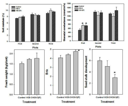 Effect of bacterial strains H30-3 and its liquid formulation, H30-3(F) on soil moisture and plant responses including stomatal conductance, fresh weight, brix and seed stalk development in first planting of Chinese cabbages in a field under natural heat and drought conditions.. Asterisks on the bar mean significant difference by the LSD test at P < 0.05; error bars indicate standard error