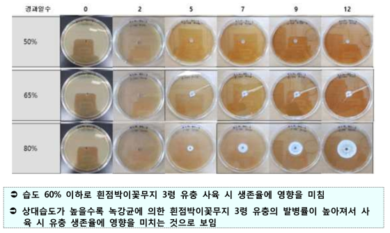 곤충병원성 녹강균의 습도에 따른 증식