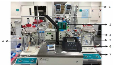 Apparatus of the simulated human intestinal system (SHIS) 1, Peristaltic pump; 2, Gastric and intestinal fluid; 3, Temperature controller; 4, Stomach vessel; 5, Small intestinal vessel; 6, pH control; 7, Magnetic stirrer