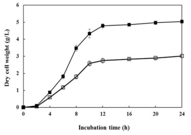 최적화 배지와 MRS 배지에서의 W. cibaria JW15 균주의 균체량 생성량 비교 (■, 최적화 배지에서의 균체량; □, MRS 배지에서의 균체량)