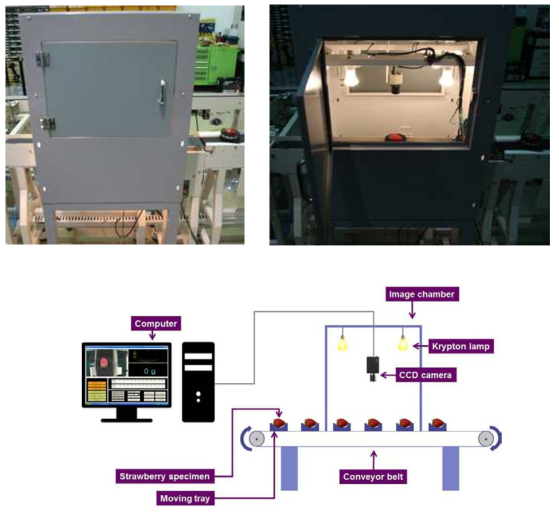 수출용 딸기 색상 및 형상 선별시스템 영상측정부
