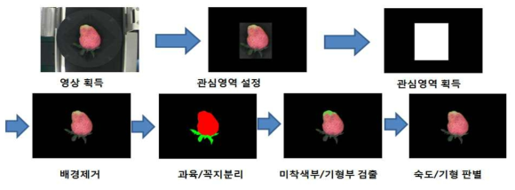 수출용 딸기 색상 및 숙도 판별 알고리즘