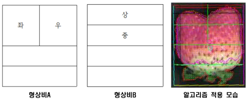 딸기 형상판별 알고리즘