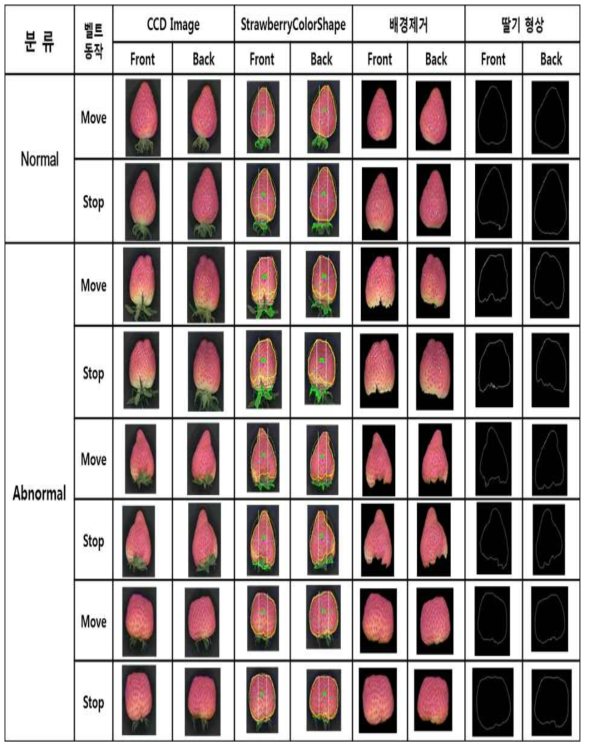 수출용 딸기(설향 품종) 정상과/기형과 판별 영상
