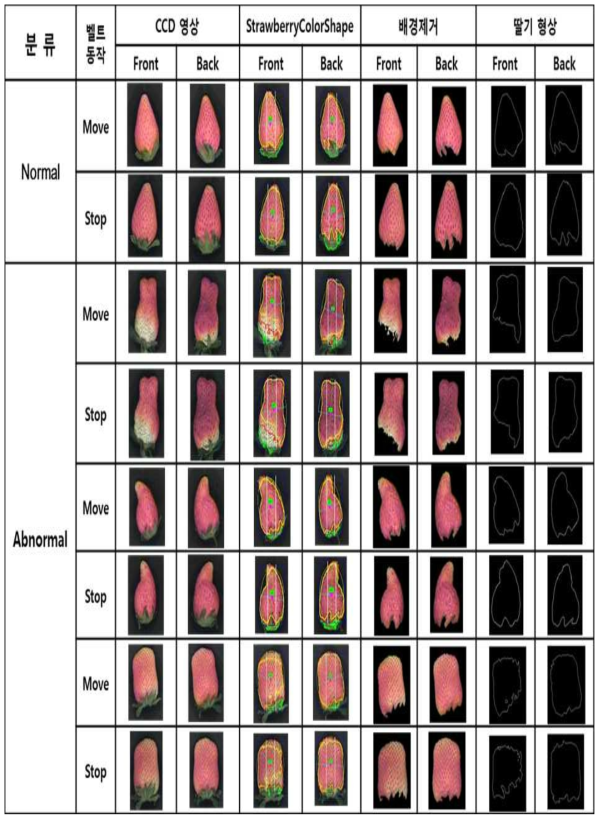 수출용 딸기(매향 품종) 정상과/기형과 판별 영상