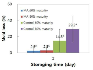 저장방법 및 숙도 별 28℃ 2일간 곰팡이 발생 비교