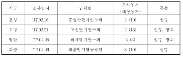 딸기 관부 국소난방 활용 농가