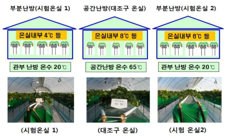 관부 국소난방 시험구 온실 배치