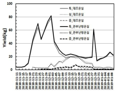 딸기 국소난방 현장적용 초기수확량