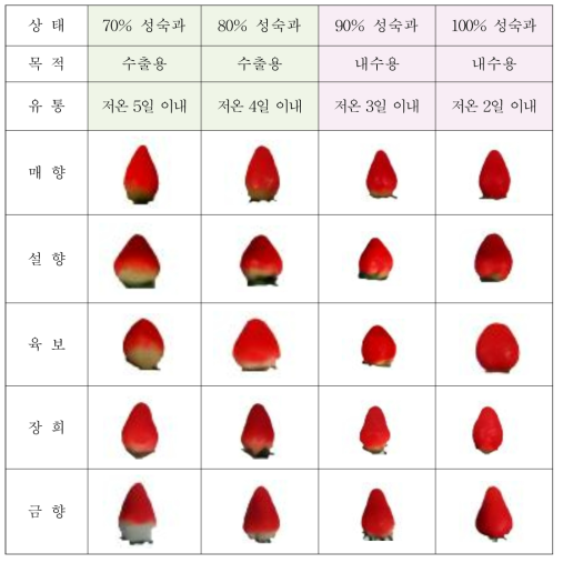 딸기 품종별 과실 숙도 기준_한국딸기생산자협의회