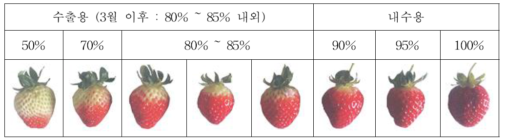 Icoop 생산자협의회 딸기 착색 기준