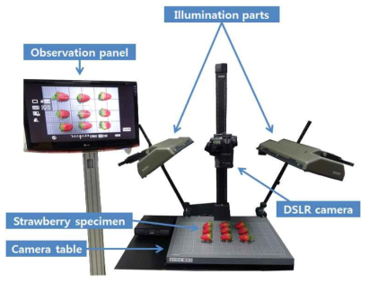 딸기 형상 측정을 위한 DSLR 카메라 시스템