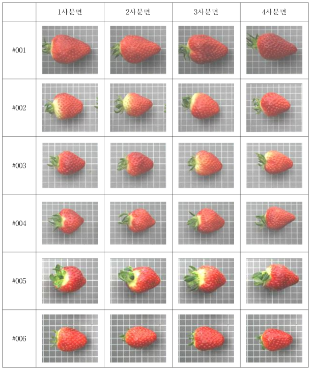 장희 품종의 정상 딸기 영상