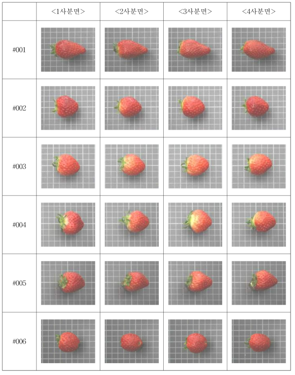 장희 품종의 결함 딸기 영상
