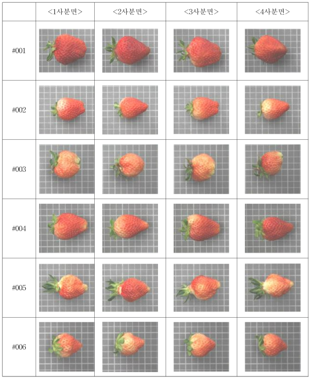 설향 품종의 결함 딸기 영상