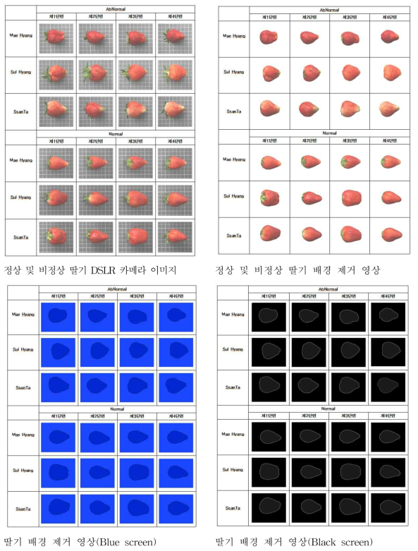 딸기 형상측정을 위한 과육 선별